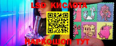 спайс Кингисепп