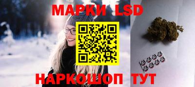 спайс Кингисепп