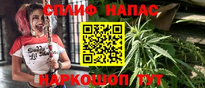 мдпв Кинель