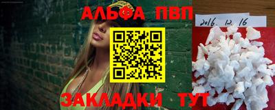 спайс Кингисепп