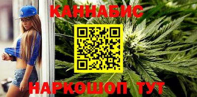 спайс Кингисепп