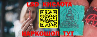 спайс Кингисепп