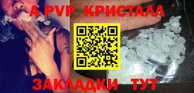 спайс Кингисепп